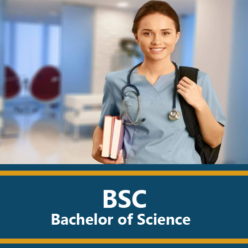 BSC - Bachelor of Science